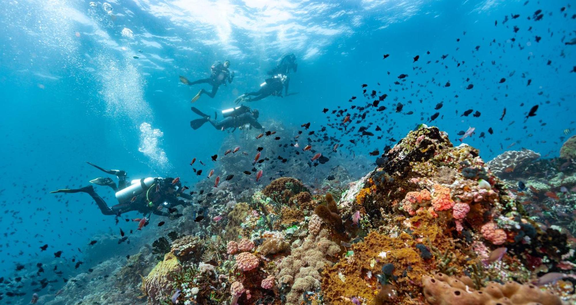 Casalay Boutique Villas & Dive 푸에르토갈레라 외부 사진